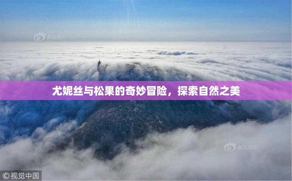 尤妮丝与松果的奇妙冒险，探索自然之美