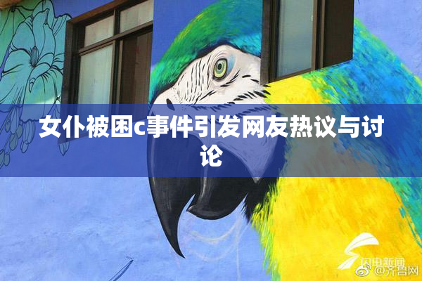 女仆被困c事件引发网友热议与讨论