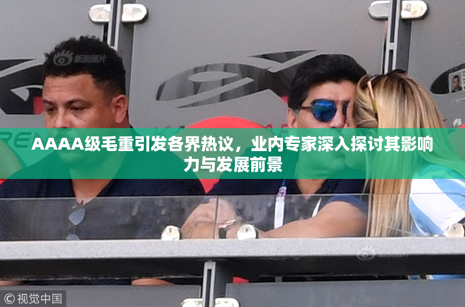 AAAA级毛重引发各界热议，业内专家深入探讨其影响力与发展前景
