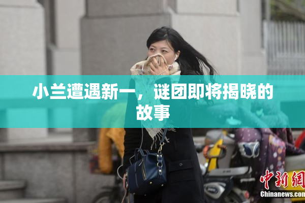 小兰遭遇新一，谜团即将揭晓的故事