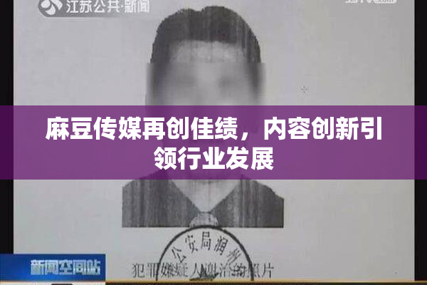 麻豆传媒再创佳绩，内容创新引领行业发展