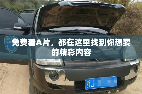 免费看A片，都在这里找到你想要的精彩内容