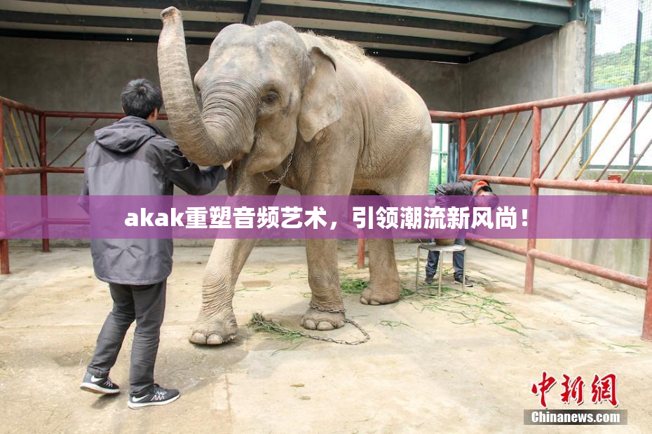 akak重塑音频艺术，引领潮流新风尚！