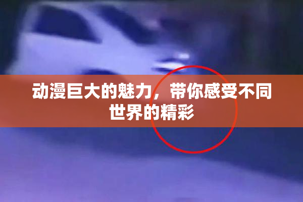 动漫巨大的魅力，带你感受不同世界的精彩