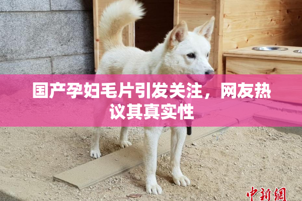 国产孕妇毛片引发关注，网友热议其真实性