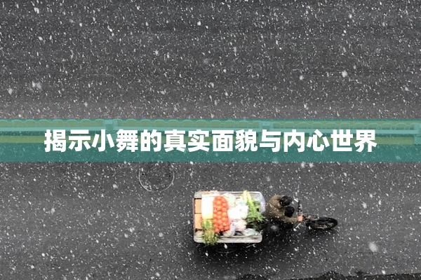 揭示小舞的真实面貌与内心世界
