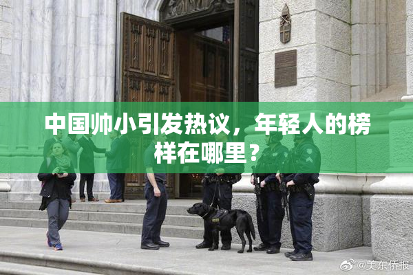 中国帅小引发热议，年轻人的榜样在哪里？