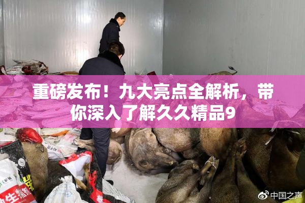重磅发布！九大亮点全解析，带你深入了解久久精品9
