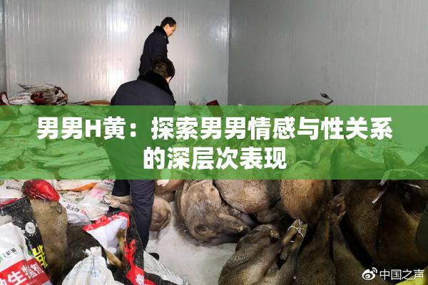 男男H黄：探索男男情感与性关系的深层次表现