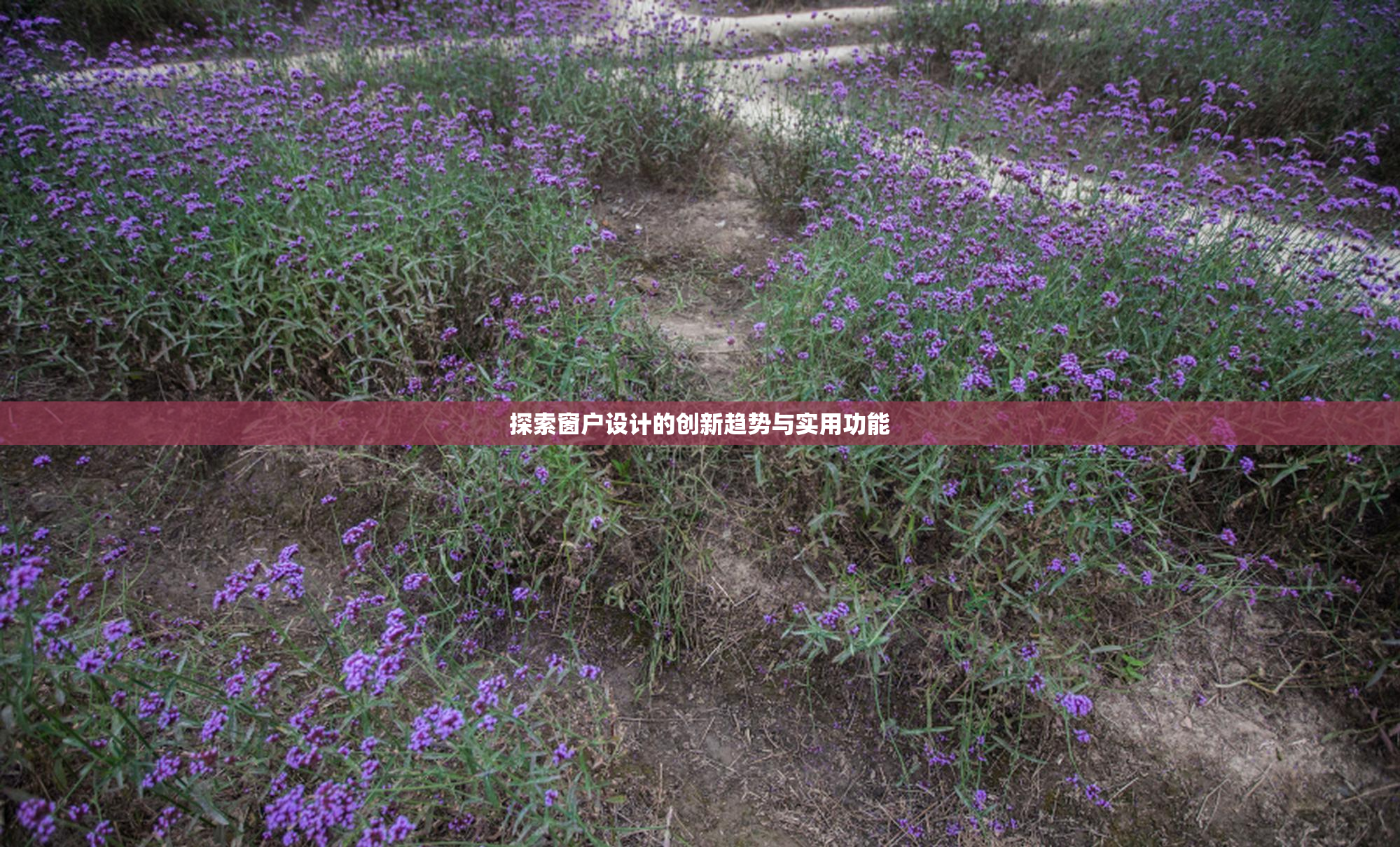探索窗户设计的创新趋势与实用功能
