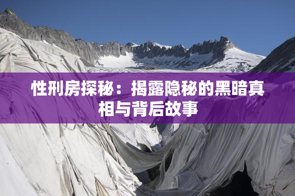 性刑房探秘：揭露隐秘的黑暗真相与背后故事
