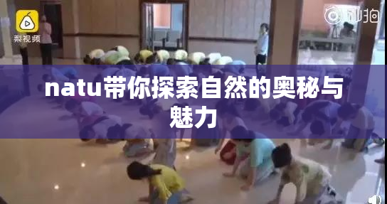 natu带你探索自然的奥秘与魅力