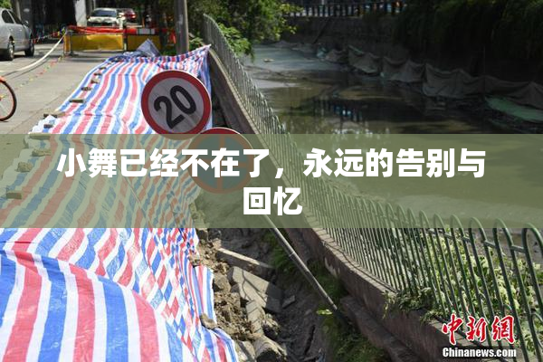 小舞已经不在了，永远的告别与回忆