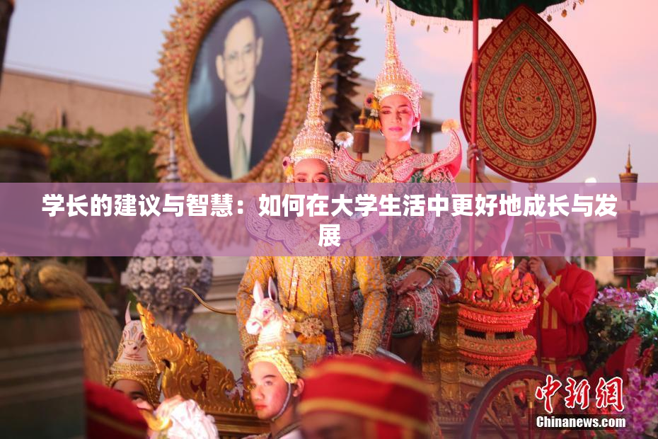学长的建议与智慧：如何在大学生活中更好地成长与发展