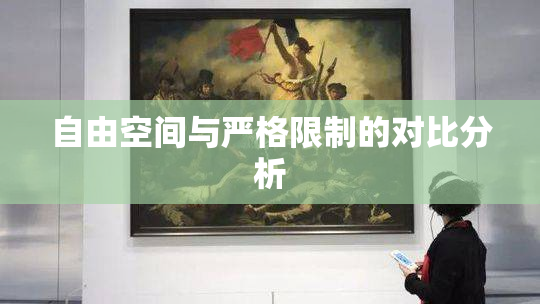 自由空间与严格限制的对比分析