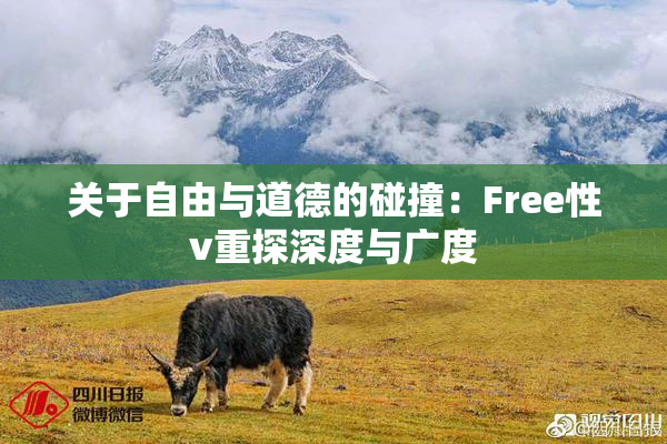 关于自由与道德的碰撞：Free性v重探深度与广度