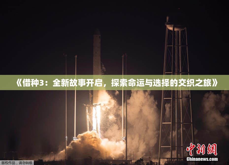 《借种3：全新故事开启，探索命运与选择的交织之旅》