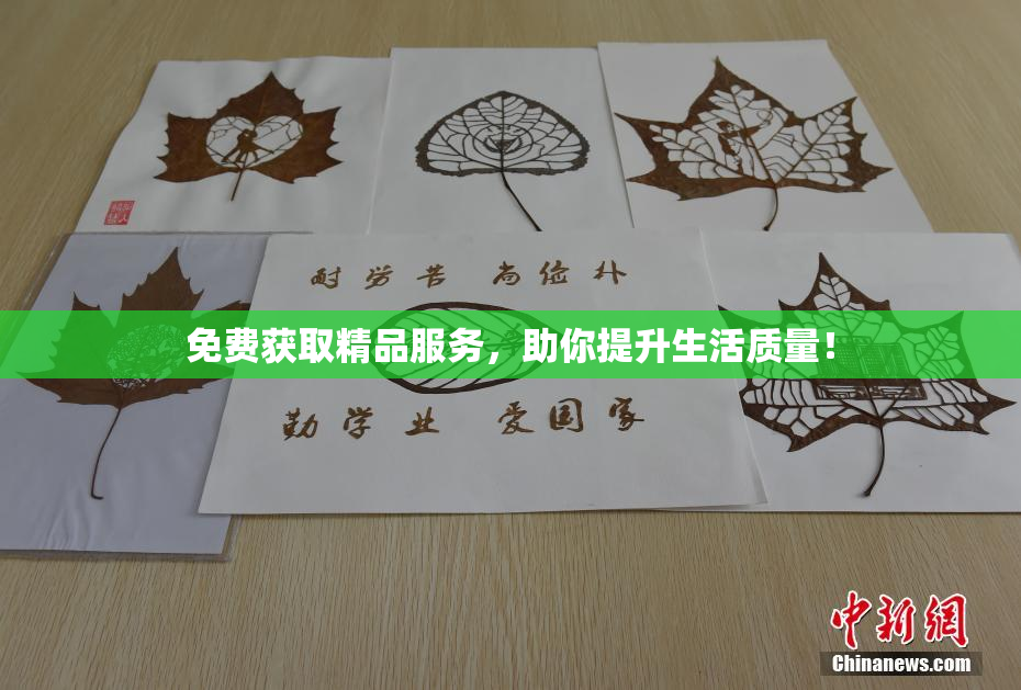免费获取精品服务，助你提升生活质量！