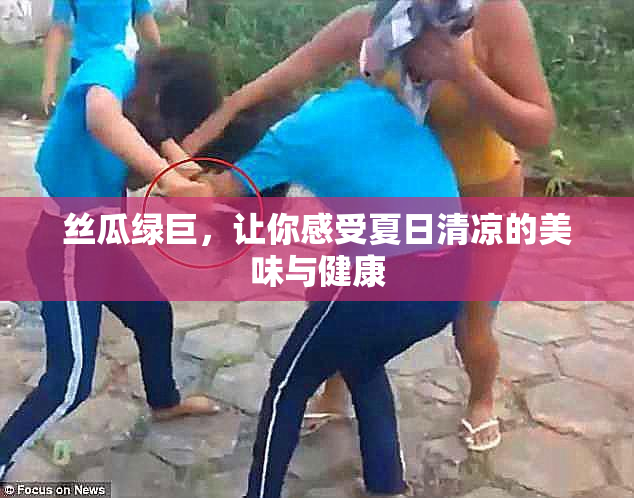 丝瓜绿巨，让你感受夏日清凉的美味与健康