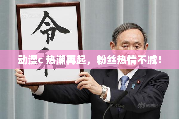 动漫c 热潮再起，粉丝热情不减！