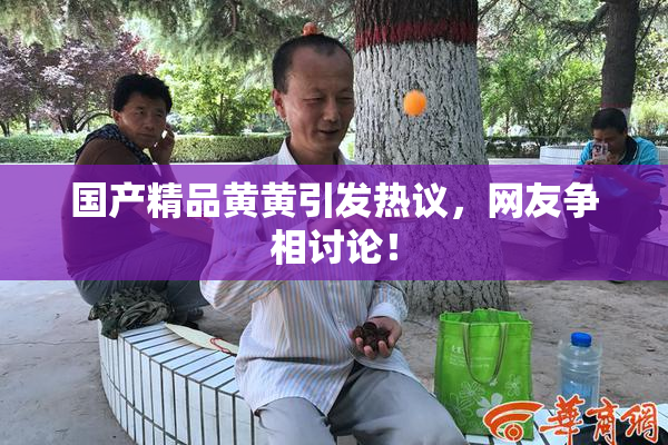 国产精品黄黄引发热议，网友争相讨论！