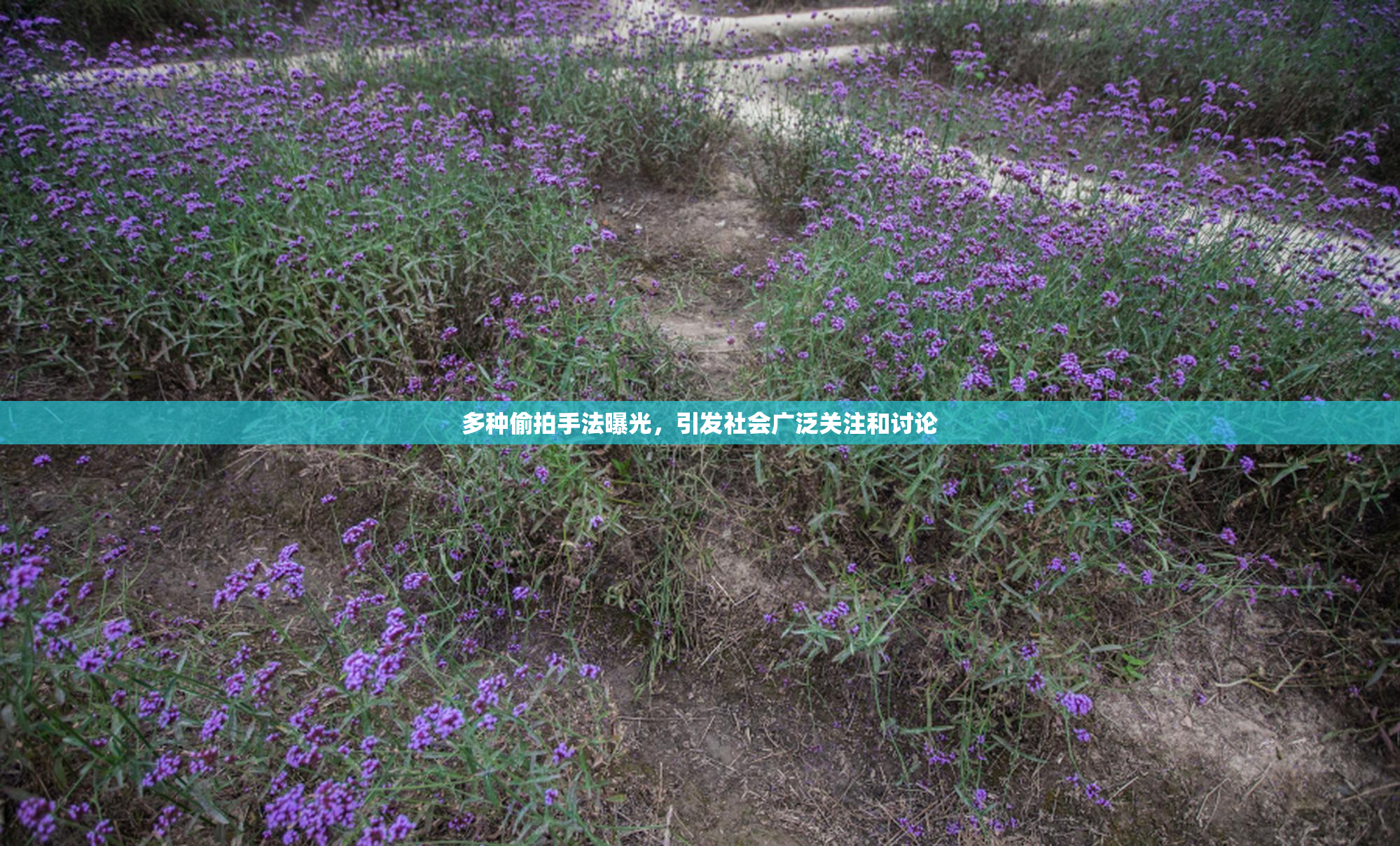 多种偷拍手法曝光，引发社会广泛关注和讨论