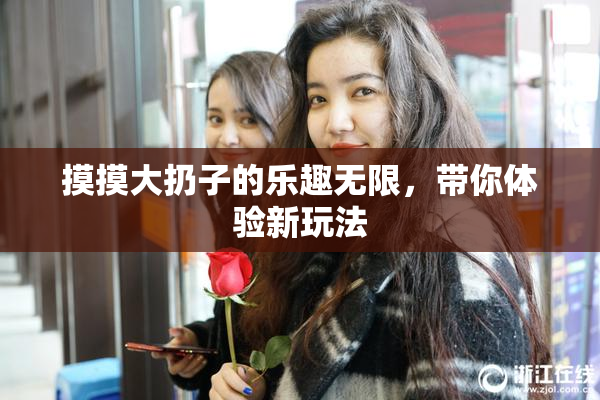 摸摸大扔子的乐趣无限，带你体验新玩法