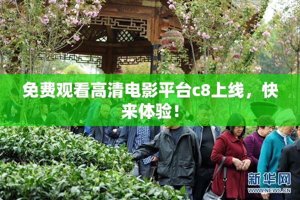 免费观看高清电影平台c8上线，快来体验！