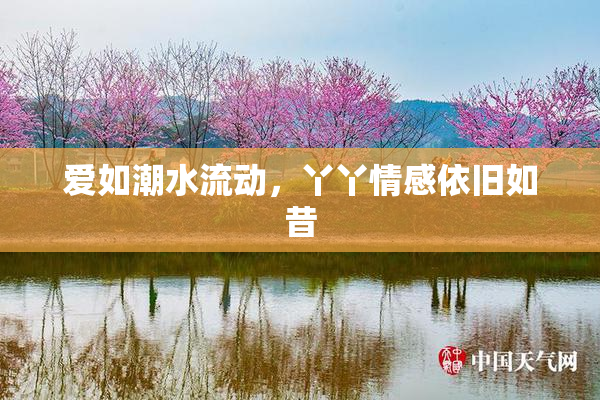 爱如潮水流动，丫丫情感依旧如昔