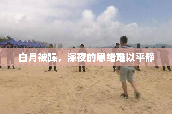 白月被躁，深夜的思绪难以平静