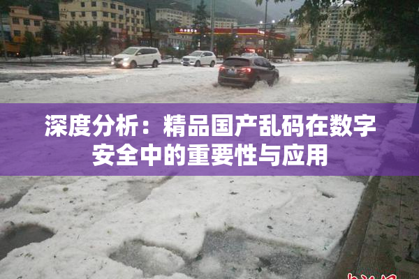 深度分析：精品国产乱码在数字安全中的重要性与应用
