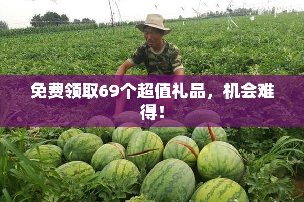 免费领取69个超值礼品，机会难得！