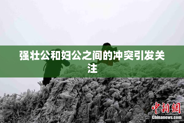 强壮公和妇公之间的冲突引发关注