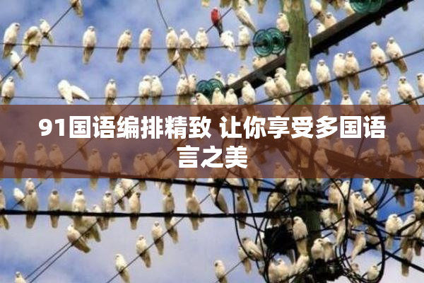 91国语编排精致 让你享受多国语言之美