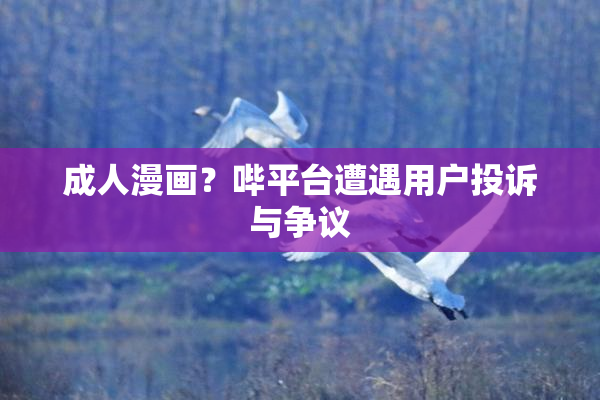 成人漫画？哔平台遭遇用户投诉与争议