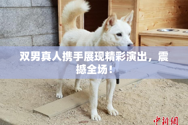 双男真人携手展现精彩演出，震撼全场！