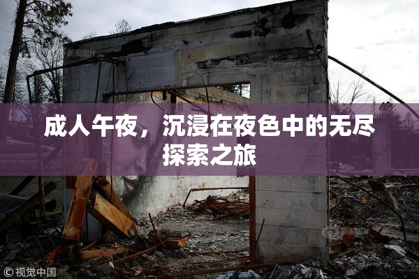 成人午夜，沉浸在夜色中的无尽探索之旅