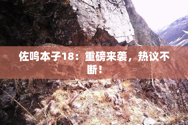 佐鸣本子18：重磅来袭，热议不断！