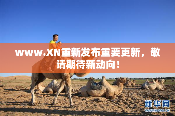 www.XN重新发布重要更新，敬请期待新动向！