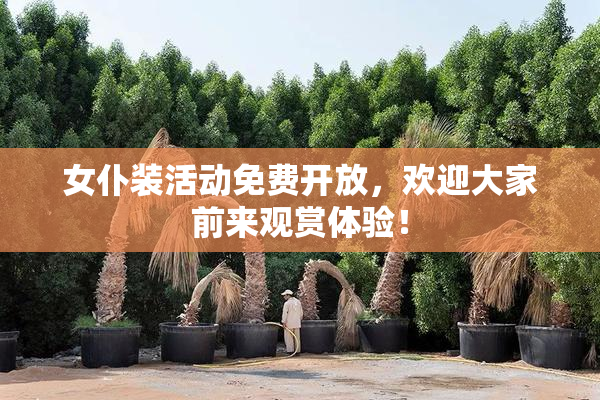 女仆装活动免费开放，欢迎大家前来观赏体验！