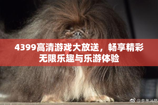 4399高清游戏大放送，畅享精彩无限乐趣与乐游体验