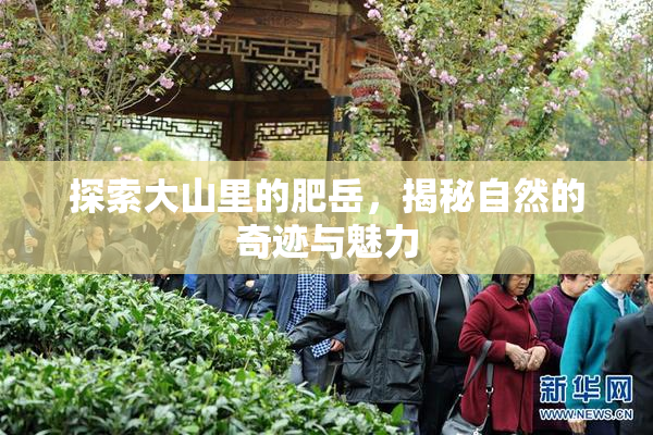 探索大山里的肥岳，揭秘自然的奇迹与魅力