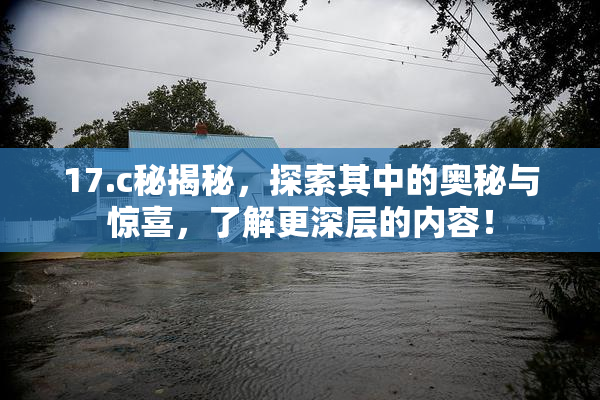 17.c秘揭秘，探索其中的奥秘与惊喜，了解更深层的内容！