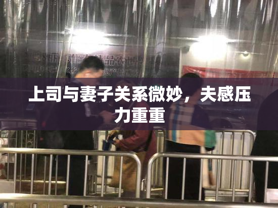 上司与妻子关系微妙，夫感压力重重