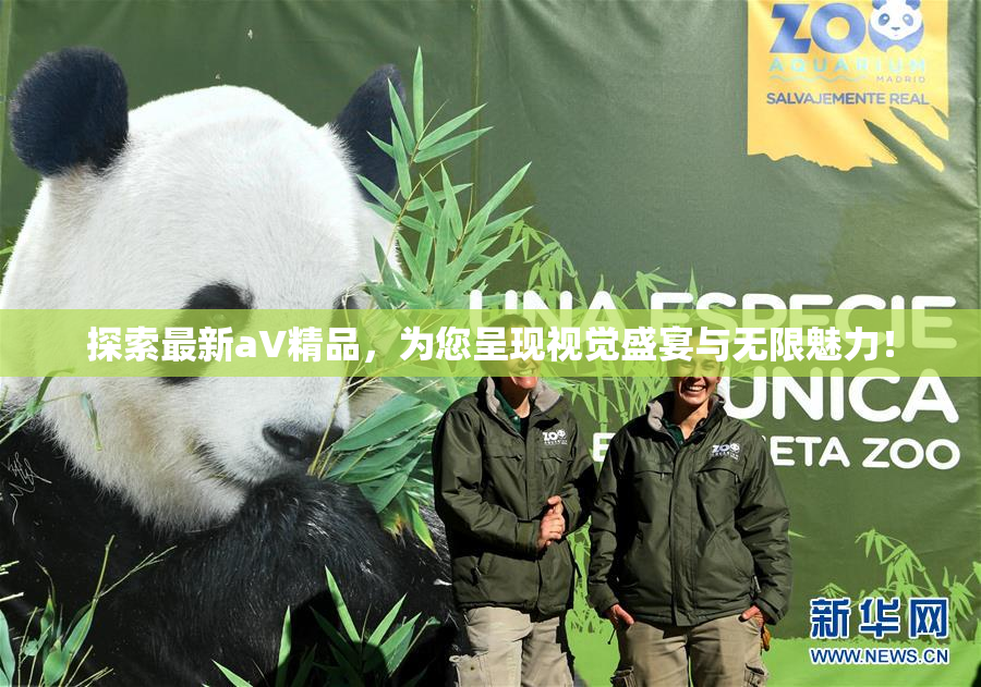 探索最新aV精品，为您呈现视觉盛宴与无限魅力！