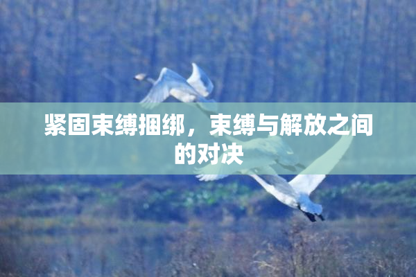 紧固束缚捆绑，束缚与解放之间的对决