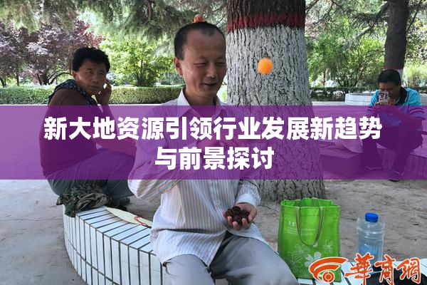 新大地资源引领行业发展新趋势与前景探讨