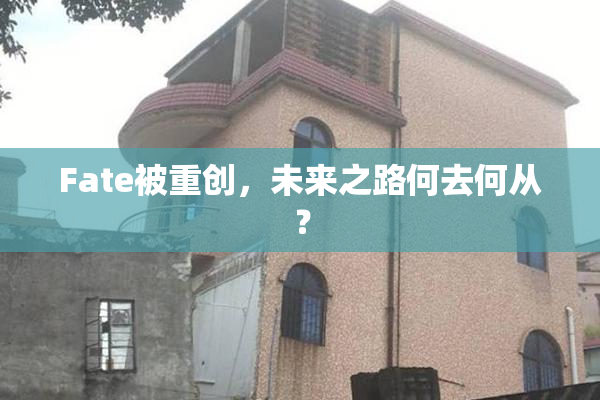 Fate被重创，未来之路何去何从？