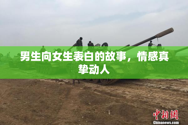 男生向女生表白的故事，情感真挚动人