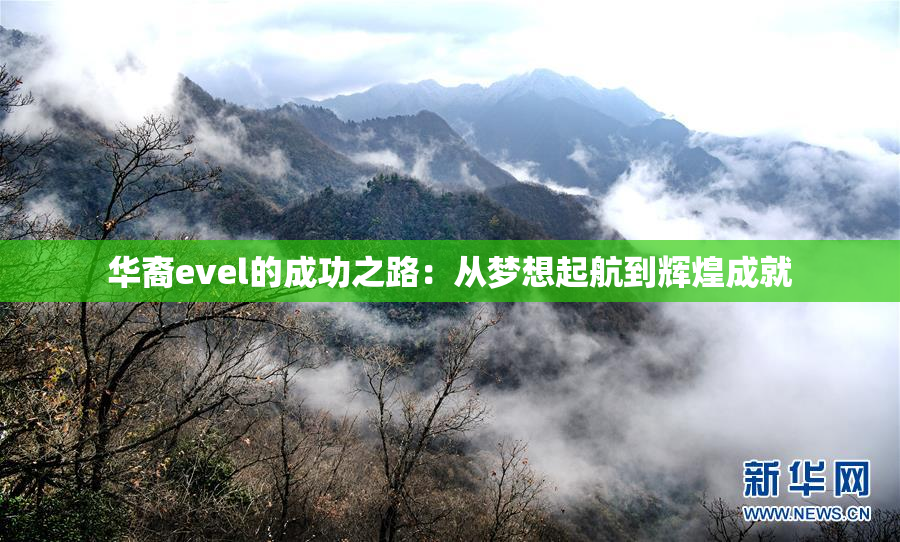 华裔evel的成功之路：从梦想起航到辉煌成就
